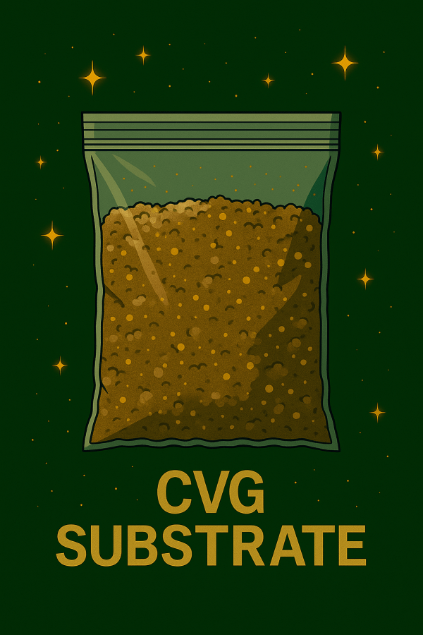 The General's Substrate